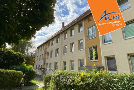 Wohnung zum Mieten in Aue-Bad Schlema 379,34 € 58.36 m²