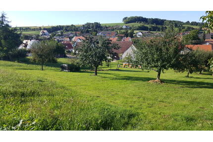 Bauen ohne Zwang! Herrliches Hanggrundstück in idyllischer Lage nahe Donauwörth - Donauwörth / Schäfstall