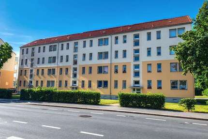 Wohnung zum Mieten in Zittau 312,00 € 48 m²