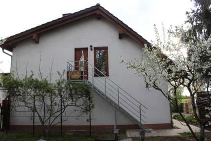 Schöne 5 Raum Wohnung auf dem Land mit vielen Möglichkeiten - Küstriner Vorland