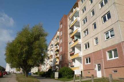 Wohnung zum Mieten in Stralsund 296,00 € 51.93 m²