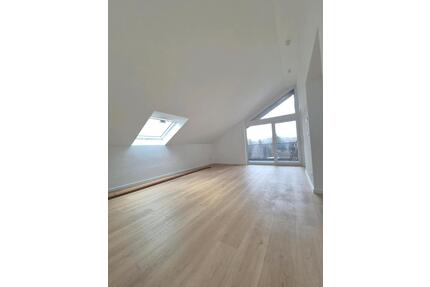 Erstbezug nach Sanierung, schöne Dachgeschosswohnung in Hochdorf