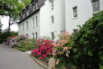 Wohnung zum Mieten in Zwickau 560,00 € 87 m²