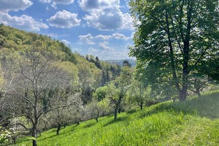 Idyllisches Grundstück mit Bäumen und Bachnähe – Nähe Stuttgart - Remshalden