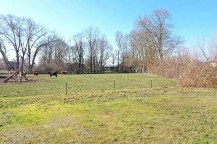 Grundstück zu verkaufen in Bückeburg 67.000,00 € 1000 m²