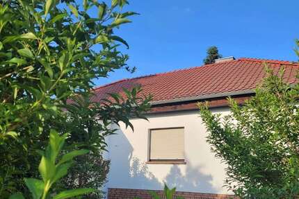 Haus zum Kaufen in Samswegen 395.000,00 € 250 m²