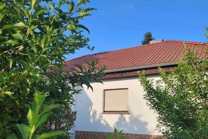 Haus zum Kaufen in Samswegen 420.000,00 € 250 m²