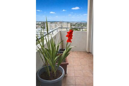 Von Privat 3-Zimmer-Wohnung mit Skylineblick in Offenbach - Offenbach am Main Bieberer Berg