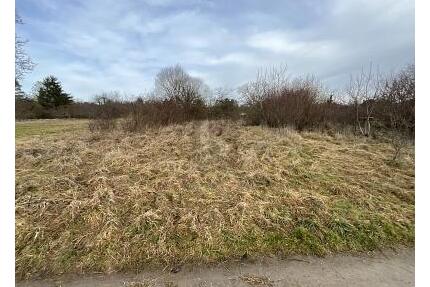 PLANE DEIN EIGENES TRAUMHAUS IM GRÜNEN - Keltern