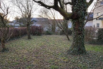 Helle 2,5-Zimmer-Wohnung mit 180 m² Garten - Heilbronn-Ost - Weinsberg