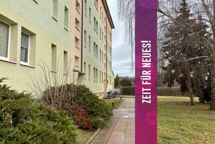 Wohnung zum Mieten in Gröbzig 330,00 € 60.65 m²