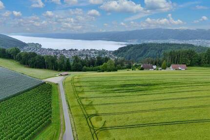 Seltenes Hofensemble in exponierter Lage - Bodman-Ludwigshafen