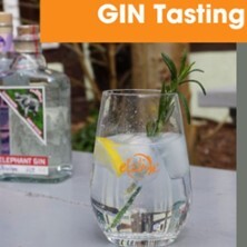 Gin Tasting | eWine der Laden