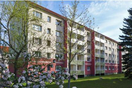 Helle Wohnung mit schönem Ausblick ins Grüne! - Limbach-Oberfrohna