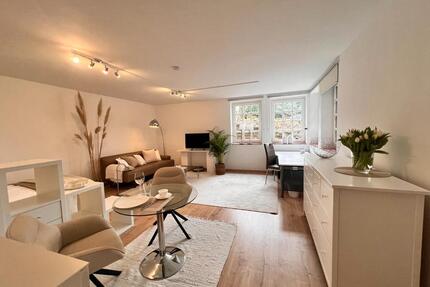 Sonniges, elegantes 1-Zimmer Appartment voll möbliert - Rheinbreitbach