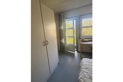 Gemütliches WG- Zimmer direkt an der Uni - Tastrup