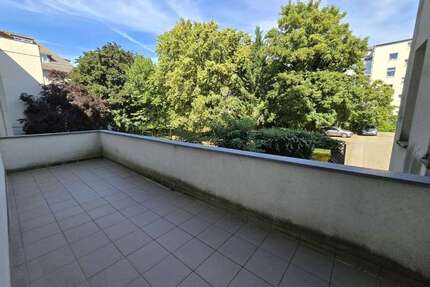 Wohnung zum Mieten in Chemnitz 789,00 € 117 m²