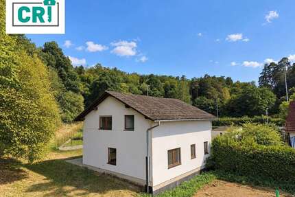 Haus zum Kaufen in Ebsdorfergrund Wittelsberg 259.900,00 € 142 m² - Ebsdorfergrund / Wittelsberg