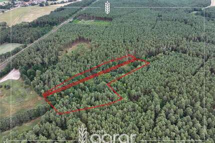 Grundstück zu verkaufen in Gardelegen Jävenitz 10.900,00 € 17979 m² - Gardelegen / Jävenitz