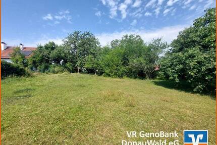 Interessant für Bauträger! Großzügige Grundstücksfläche mit zwei ausgewiesenen Bauparzellen in Mitterfels (ohne Bauzwang) und Anwesen in sehr gute