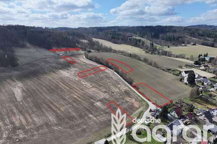 Grundstück in Sohland an der Spree Wehrsdorf 7.999,00 € 8006 m² - Sohland an der Spree / Wehrsdorf