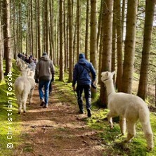 Die grosse Alpaka Wanderung! |Alpaka Weilachmühle