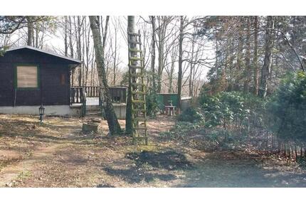 Ruhig. Eigentums -Gartengrundst. Wochenendhaus in DD-Pappritz - Heidenau