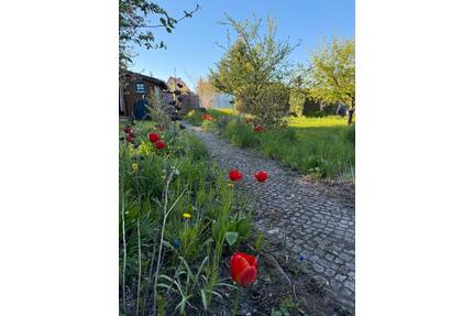 Exklusives Gartenangebot zur Pacht in Magdeburg