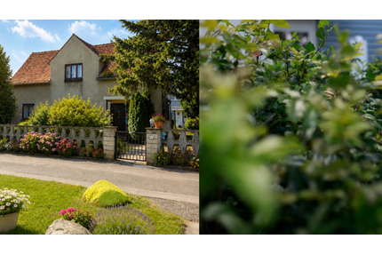 Haus zum Kaufen in Leipzig 390.000,00 € 150 m²
