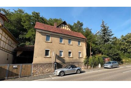 Erdgeschosswohnung mit großem Garten für Hundeliebhaber - Heppenheim (Bergstraße)