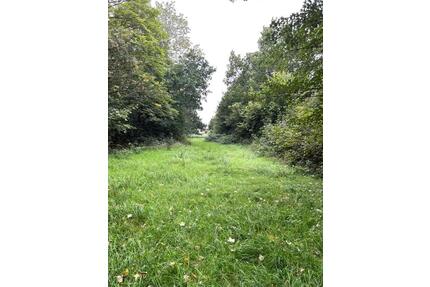 Große Wiese Pferdewiese Freizeitgrundstück zu verpachten - Geestland