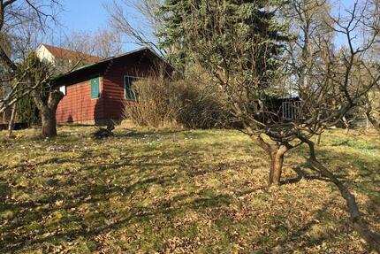 Wochenendgrundstück in Chemnitz zur Pacht - Zschopau