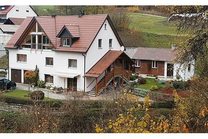 Nürnberger Einzugsgebiet. Penthouse Wohnung - Weigendorf