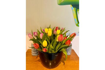 möblierte Wohnung im Stadtzentrum, gern für längere Zeit zu vermieten - Chemnitz