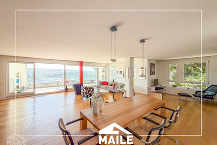 Wohnung zum Mieten in Stuttgart Stuttgart-West 2.950,00 € 180 m²