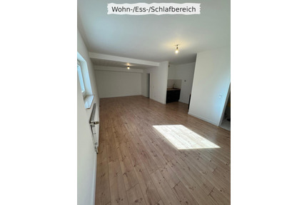 1-Zimmer-Souterrainwohnung - 499,00&nbsp;EUR Kaltmiete, ca.&nbsp; 45,00&nbsp;m&sup2; in Datzeroth (PLZ: 56589)
