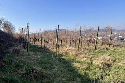 Grundstück zu verkaufen in Jechtingen 8.000,00 € 2881 m²