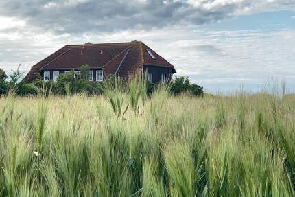 Fehmarn ❤️ Ostern top Ferienwohnung Ostsee ruhig Hund erlaubt