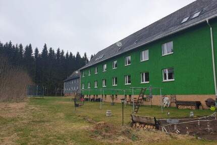 Naturnahe, günstige Wohnung perfekt für Handwerker - Johanngeorgenstadt