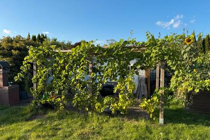 Wunderschöner Schrebergarten mit Spargel und Wein in Braunschweig