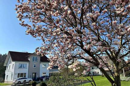 Haus zum Kaufen in Biberach an der Riß 448.000,00 € 266 m²