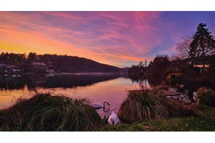 Charmantes Ein-bis Zweifamilienhaus mit Wintergarten und Kamin - Blieskastel