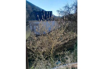 Renovierte 2-Zimmer im Grünen - 400,00&nbsp;EUR Kaltmiete, ca.&nbsp; 45,00&nbsp;m&sup2; in Weiler bei Bingen (PLZ: 55413)