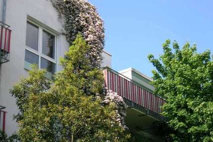 Wohnung zum Mieten in Frankfurt am Main 1.010,00 € 65 m²