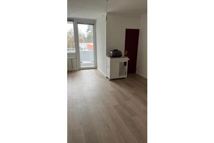 Teil renoviertes Appartement mit Balkon nahe Pasinger Stadtpark - München Pasing-Obermenzing