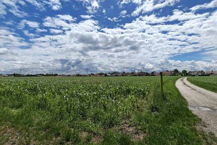 Landwirtschaftlicher Grund - Acker– ca. 13.220m² - 820 - Kirchdorf a.Inn Machendorf