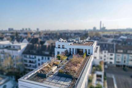 Wohnung zum Kaufen in Düsseldorf - Oberkassel 3.250.000,00 € 190 m²