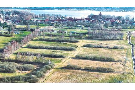 Grundstücke in 18461 Richtenberg - Franzburg