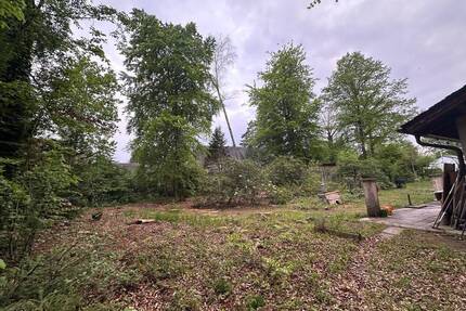 Perfekte Lage-Größe und Zuschnitt! Baugrundstück in Waldrandnähe - Grünwald