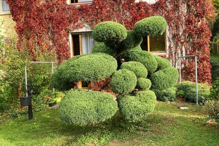 Vermiete 2-Raum-Wohnung im Ziegenhainer Tal - Jena Kernberge
